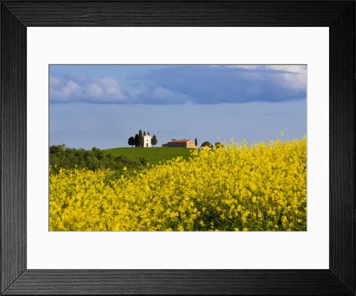 Framed Print : Italy, Tuscany, Val d Orcia. Chapel of Vitaleta and farmhouse Framed Print : Italy, Tuscany, Val d Orcia. Chapel of Vitaleta and farmhouse