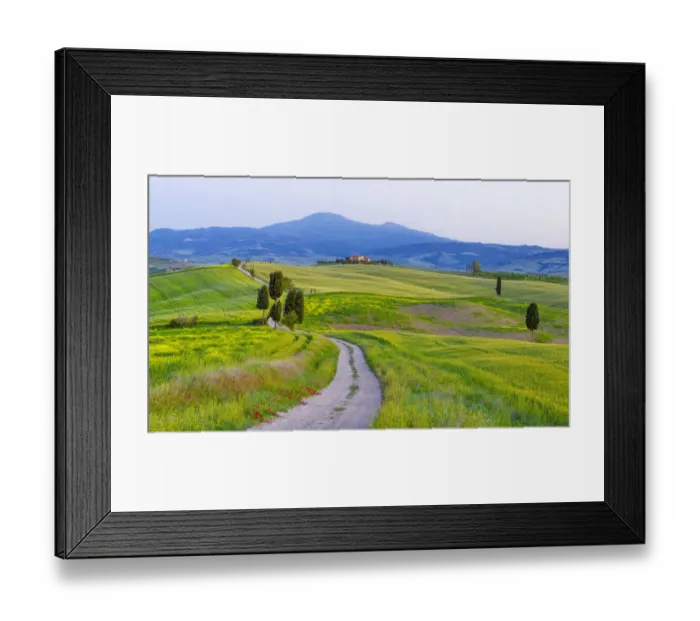 Framed Print : Europe, Italy, San Quirico d Orcia. Cypress trees and farmhouse in landscape Framed Print : Europe, Italy, San Quirico d Orcia. Cypress trees and farmhouse in landscape