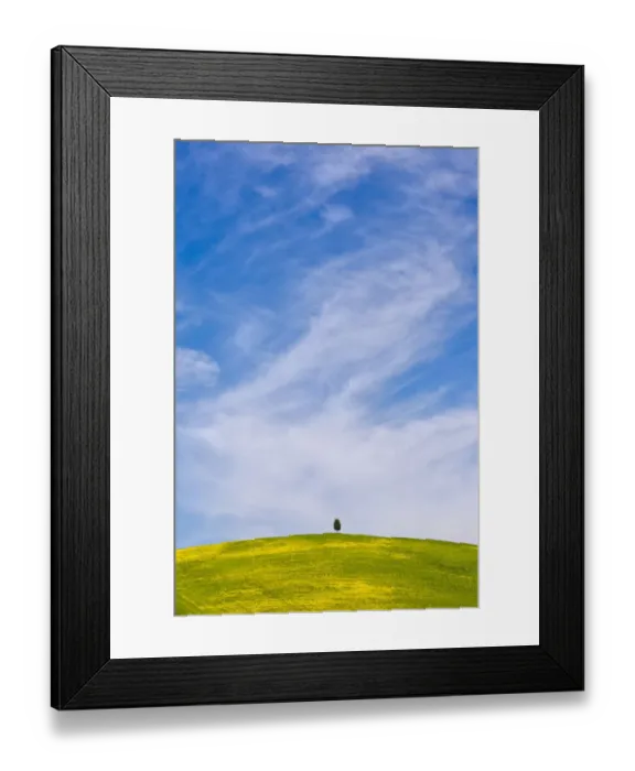 Framed Print : Europe, Italy, San Quirico d Orcia. Cypress tree on hill Framed Print : Europe, Italy, San Quirico d Orcia. Cypress tree on hill