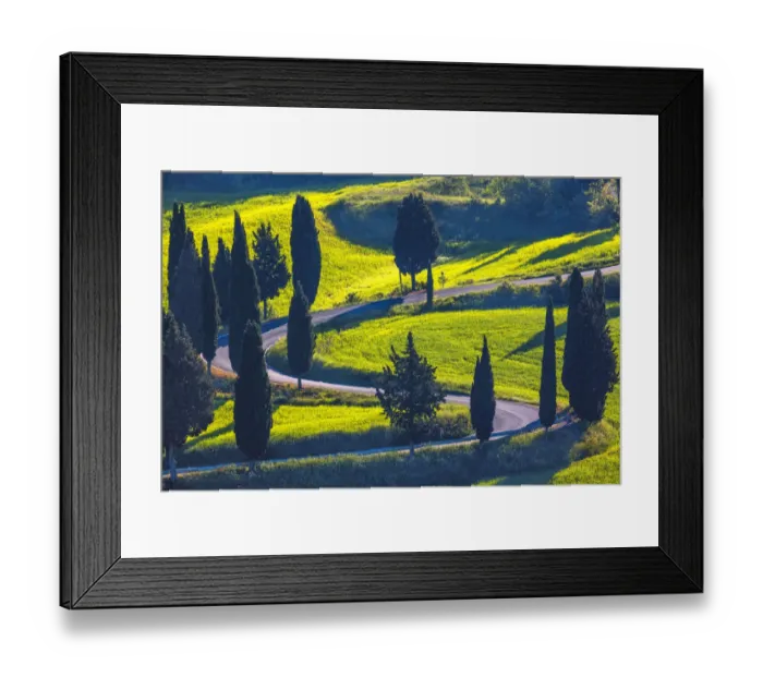 Framed Print : Europe, Italy, Val d Orcia. Cypress trees line winding road
