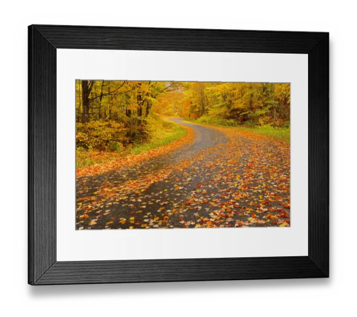 Framed Print : Canada, Ontario, Goulasi River. Country road lined with fallen maple leaves. Credit as Framed Print : Canada, Ontario, Goulasi River. Country road lined with fallen maple leaves. Credit as