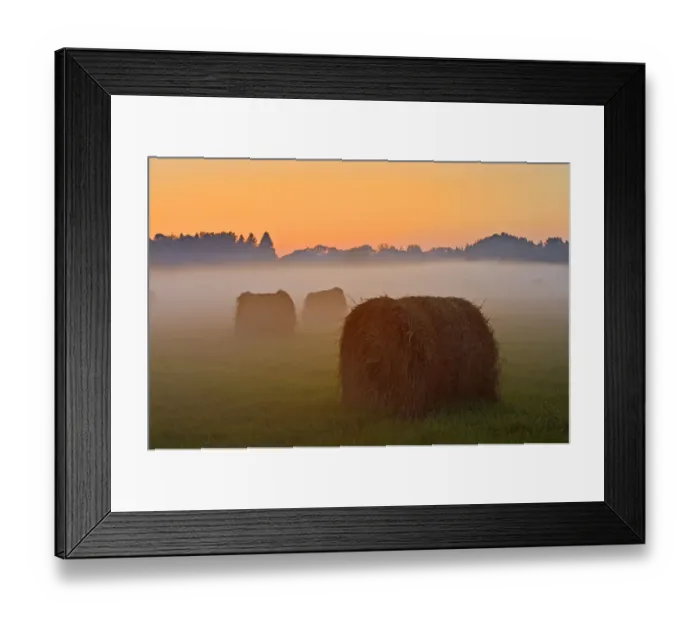 Framed Print : Canada, Ontario. Bales and fog at twilight Framed Print : Canada, Ontario. Bales and fog at twilight