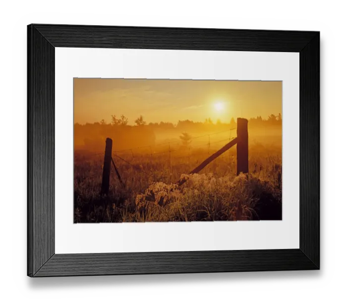 Framed Print : Canada, Ontario, Estaire. Fence at sunrise in fog