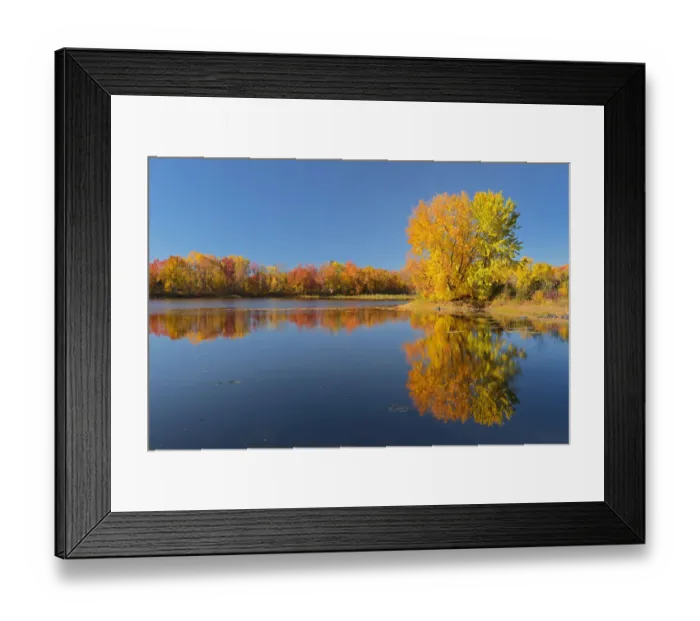 Framed Print : Canada, Ontario, Vermilion River. Forest reflections in autumn