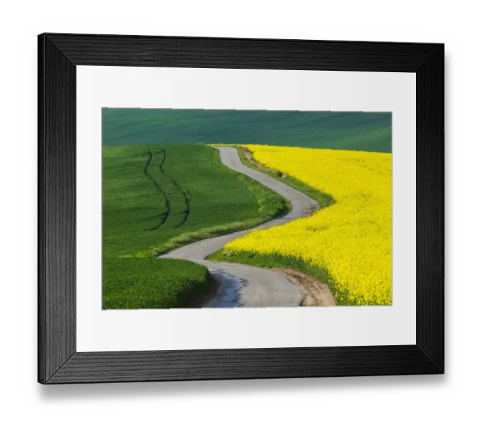 Framed Print : Europe, Czech Republic, Moravia. Road through farm field