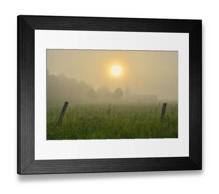 Framed Print : Canada, Ontario, Bourget. Farm field at sunrise in fog Framed Print : Canada, Ontario, Bourget. Farm field at sunrise in fog