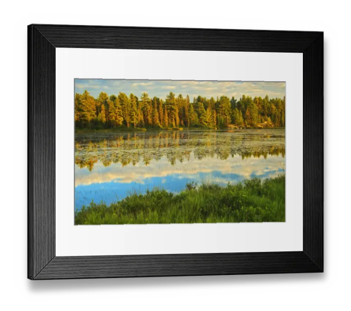 Framed Print : Canada, Ontario, Algonquin Provincial Park. Lake reflections at sunset. Credit as Framed Print : Canada, Ontario, Algonquin Provincial Park. Lake reflections at sunset. Credit as