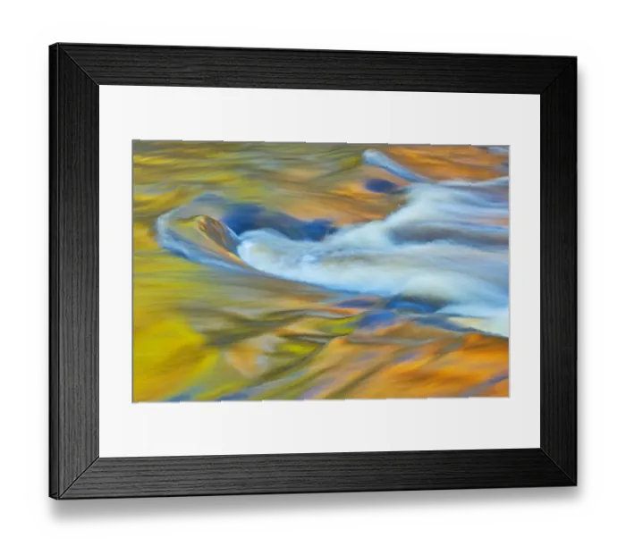 Framed Print : Canada, Ontario, Rosseau. Maple trees reflected in stream at sunset
