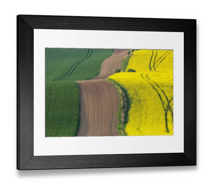 Framed Print : Europe, Czech Republic, Moravia. Road through farm field Framed Print : Europe, Czech Republic, Moravia. Road through farm field