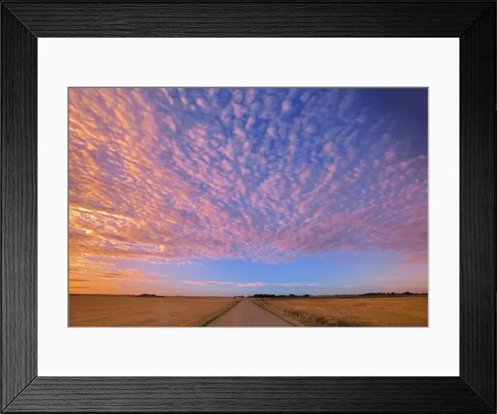 Framed Print : Canada, Saskatchewan, Lepine. Clouds over prairie road at sunrise Framed Print : Canada, Saskatchewan, Lepine. Clouds over prairie road at sunrise