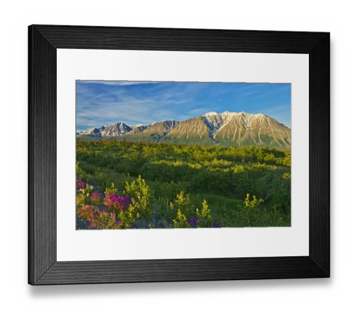 Framed Print : Canada, Yukon. St. Elias Mountains and forested valley Framed Print : Canada, Yukon. St. Elias Mountains and forested valley