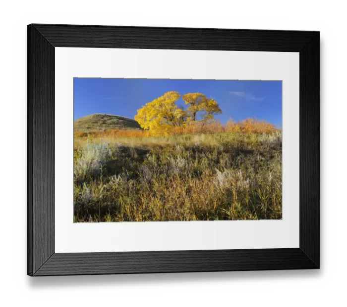 Framed Print : Canada, Saskatchewan, Saskatchewan Landing Provincial Park. Hills in autumn. Credit as