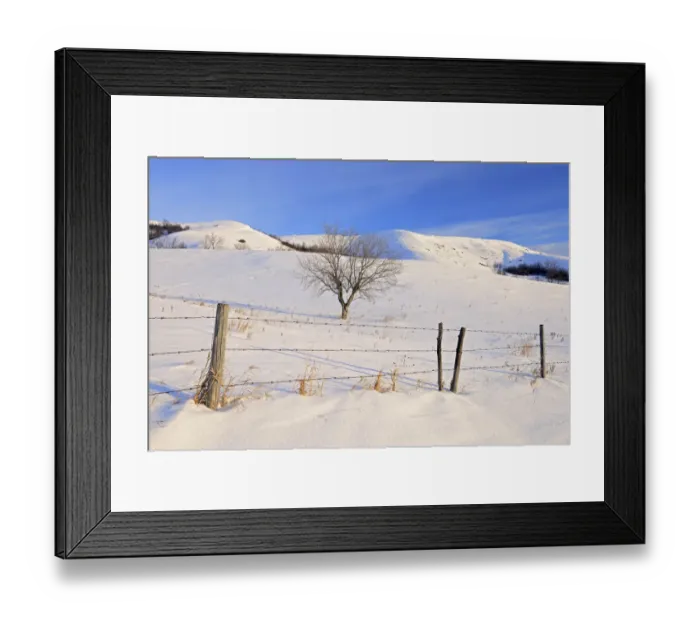 Framed Print : Canada, Saskatchewan, Qu Appelle Valley Framed Print : Canada, Saskatchewan, Qu Appelle Valley