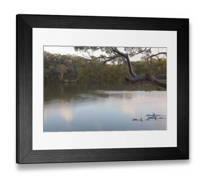 Framed Print : Australia, New South Wales, Sydney. Kayakers on peaceful Georges River Framed Print : Australia, New South Wales, Sydney. Kayakers on peaceful Georges River