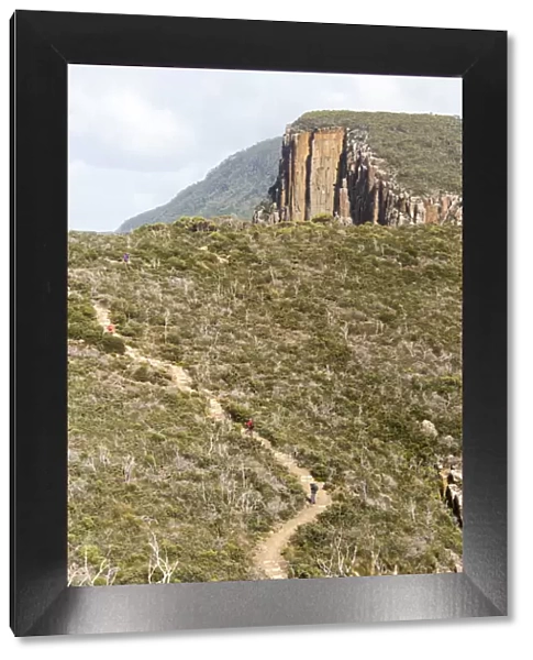 Australia, Tasmania, Tasman National Park. Hikers on Cape Hauy, Three Capes Track. (MR)