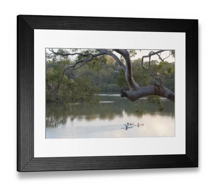 Framed Print : Australia, New South Wales, Sydney suburb Lugarno. Kayakers on peaceful Georges River Framed Print : Australia, New South Wales, Sydney suburb Lugarno. Kayakers on peaceful Georges River