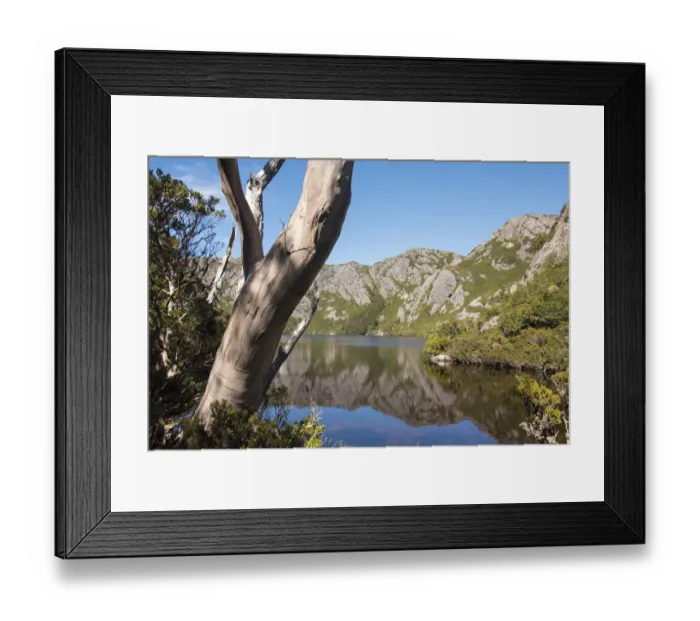 Framed Print : Australia, Tasmania, Cradle Mountain-Lake St Clair National Park Framed Print : Australia, Tasmania, Cradle Mountain-Lake St Clair National Park