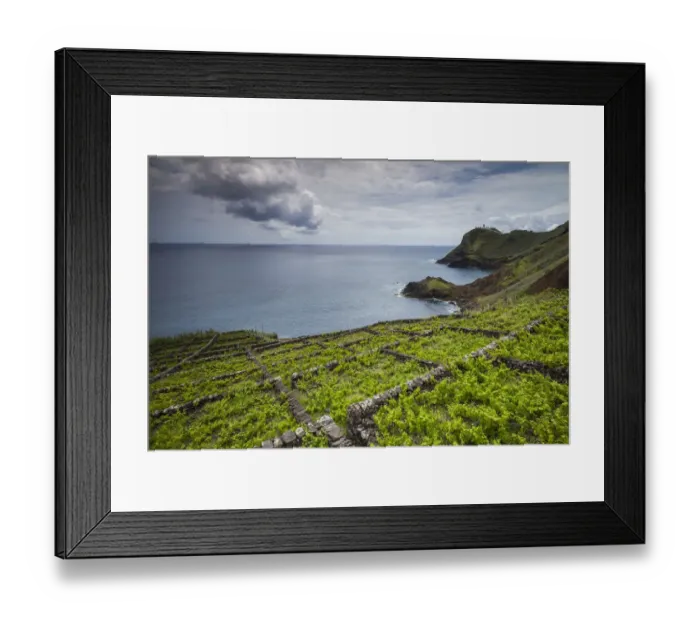 Framed Print : Portugal, Azores, Santa Maria Island, Maia. Elevated view of vineyards Framed Print : Portugal, Azores, Santa Maria Island, Maia. Elevated view of vineyards