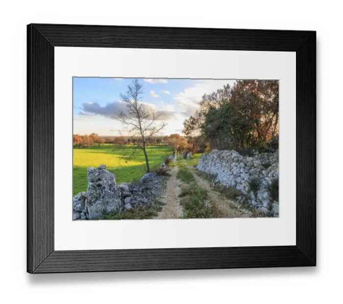 Framed Print : Italy, Puglia. Small road and tree against blue sky, near a stone wall