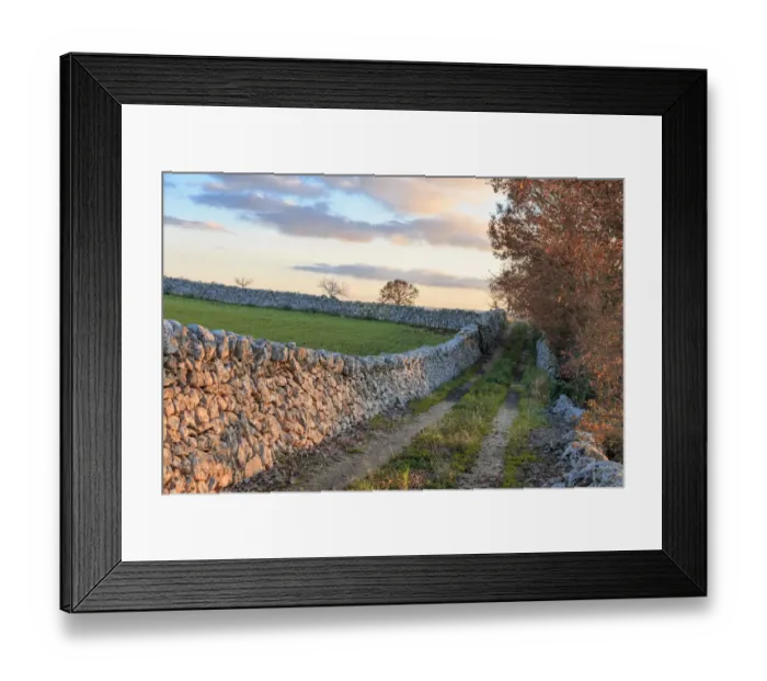Framed Print : Italy, Puglia. Small road and tree against blue sky, near a stone wall