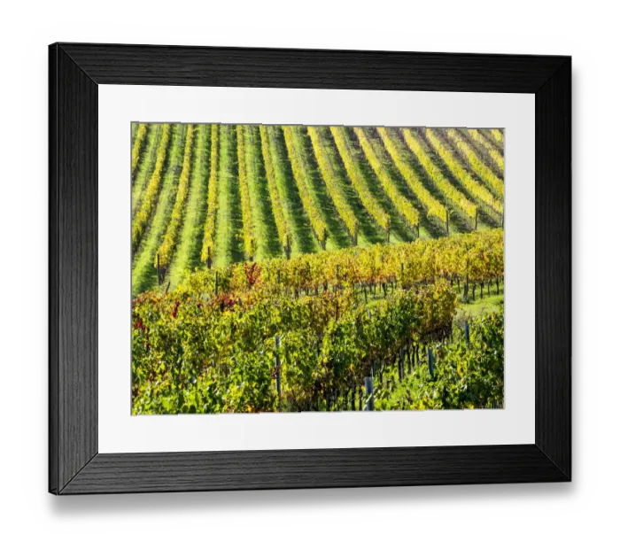 Framed Print : Autumn fields leading to the city of Montepulciano
