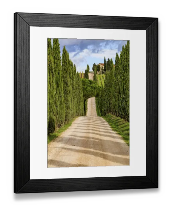 Framed Print : Italy, Tuscany hills and cypress trees Framed Print : Italy, Tuscany hills and cypress trees