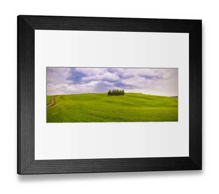 Framed Print : Europe, Italy, San Quirico d Orcia. Cypress grove in panoramic Framed Print : Europe, Italy, San Quirico d Orcia. Cypress grove in panoramic