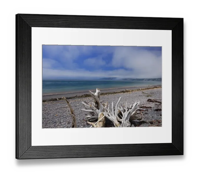 Framed Print : Canada, Nova Scotia, Advocate Harbour. Driftwood on Bay of Fundy beach. Credit as Framed Print : Canada, Nova Scotia, Advocate Harbour. Driftwood on Bay of Fundy beach. Credit as