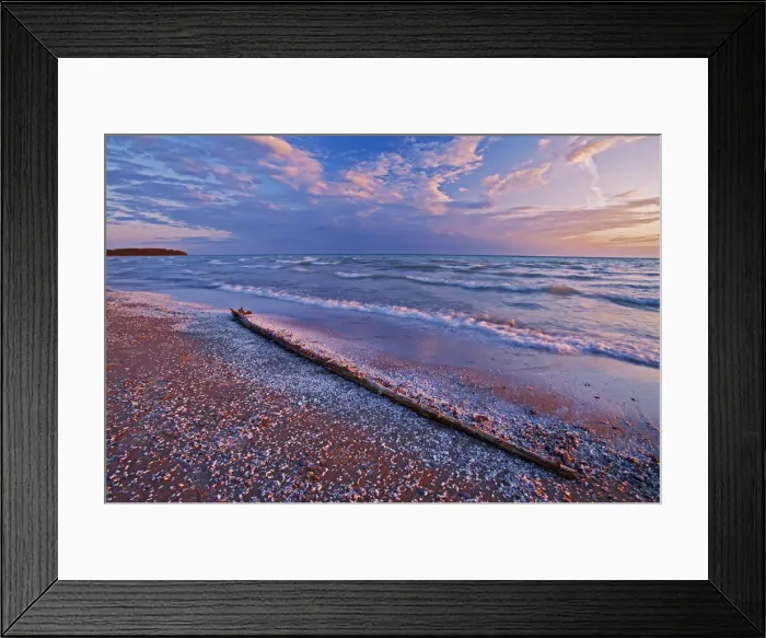 Framed Print : Canada, Ontario, Sandbanks Provincial Park. Pebbles and shells on Lake Ontario shoreline Framed Print : Canada, Ontario, Sandbanks Provincial Park. Pebbles and shells on Lake Ontario shoreline