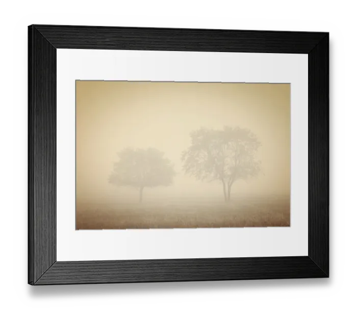 Framed Print : Canada. Trees in fog. Credit as: Mike Grandmaison  /  Jaynes Gallery  /  DanitaDelimont. com
