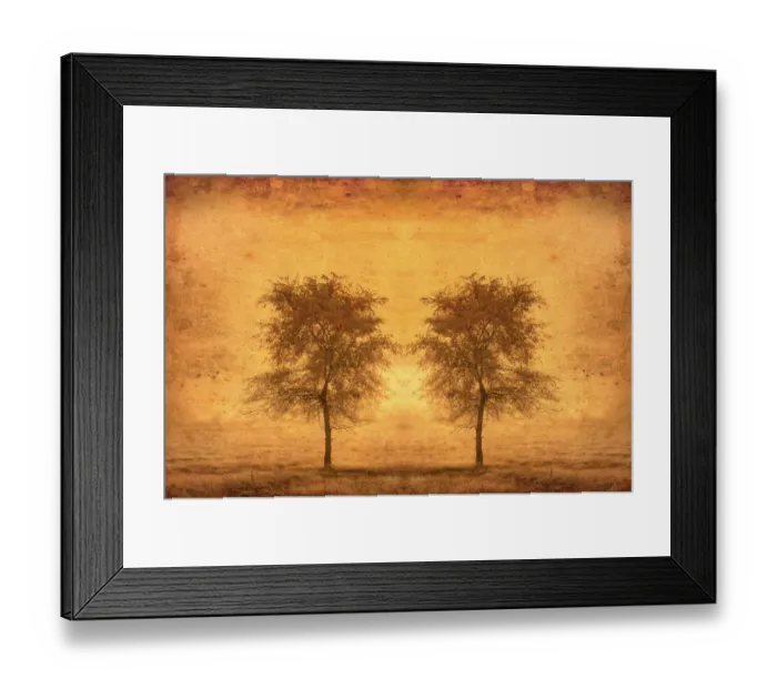 Framed Print : Canada. Trees in fog at sunrise. Credit as: Mike Grandmaison / Jaynes Gallery / DanitaDelimont Framed Print : Canada. Trees in fog at sunrise. Credit as: Mike Grandmaison / Jaynes Gallery / DanitaDelimont