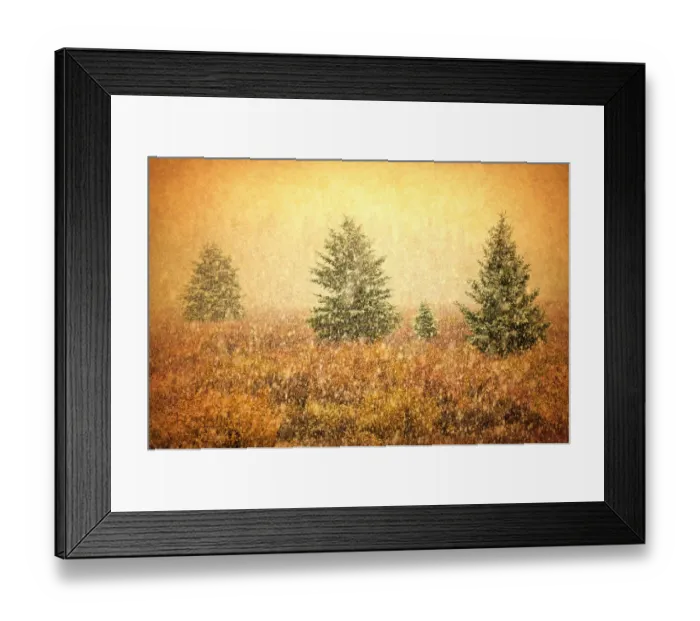 Framed Print : Canada. Abstract of evergreen trees in snow Framed Print : Canada. Abstract of evergreen trees in snow