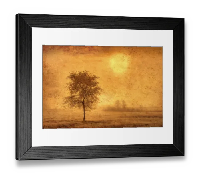 Framed Print : Canada. Tree in fog at sunrise. Credit as: Mike Grandmaison / Jaynes Gallery / DanitaDelimont Framed Print : Canada. Tree in fog at sunrise. Credit as: Mike Grandmaison / Jaynes Gallery / DanitaDelimont