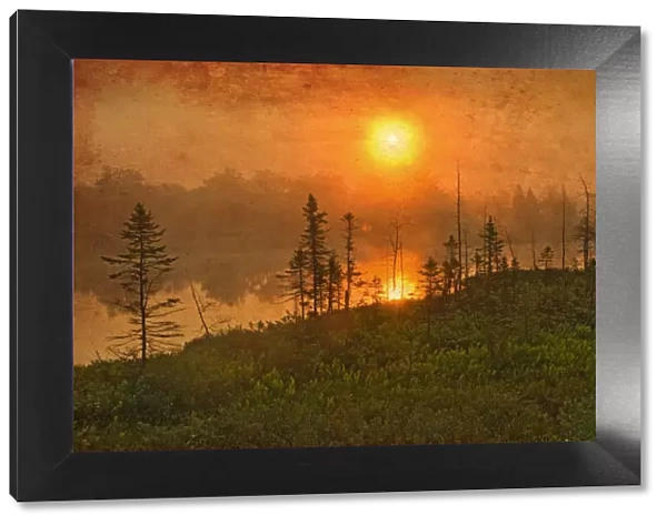 Canada. Wetland sunrise. Credit as: Mike Grandmaison  /  Jaynes Gallery  /  DanitaDelimont
