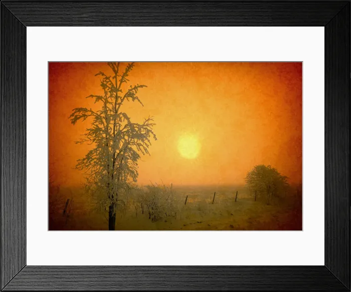 Framed Print : Canada. Abstract of frosty sunrise. Credit as: Mike Grandmaison / Jaynes Gallery / DanitaDelimont Framed Print : Canada. Abstract of frosty sunrise. Credit as: Mike Grandmaison / Jaynes Gallery / DanitaDelimont