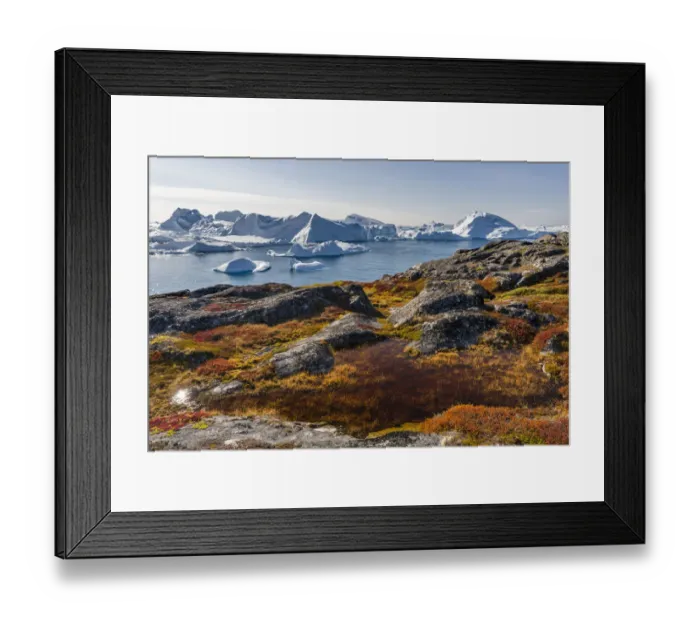 Framed Print : Ilulissat Icefjord also called kangia or Ilulissat Kangerlua at Disko Bay Framed Print : Ilulissat Icefjord also called kangia or Ilulissat Kangerlua at Disko Bay