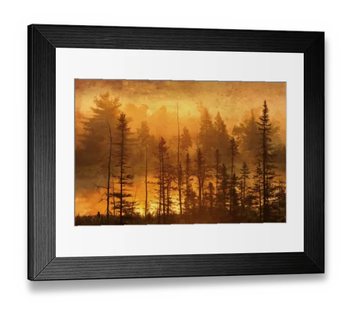 Framed Print : Canada. Trees in morning fog. Credit as: Mike Grandmaison / Jaynes Gallery / DanitaDelimont Framed Print : Canada. Trees in morning fog. Credit as: Mike Grandmaison / Jaynes Gallery / DanitaDelimont