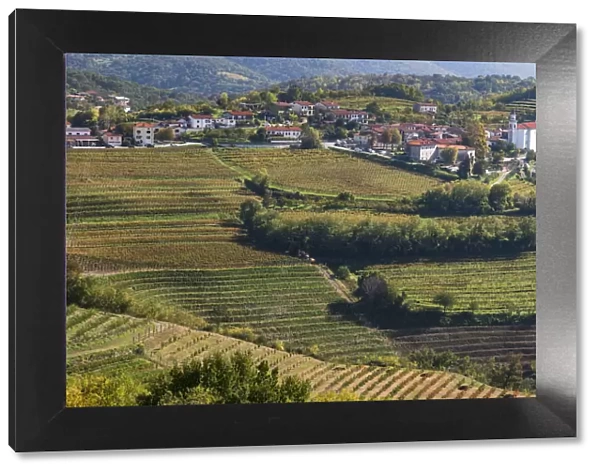 Slovenia, Goriska Brda region. A rich viticulture region with fields of vines surrounding