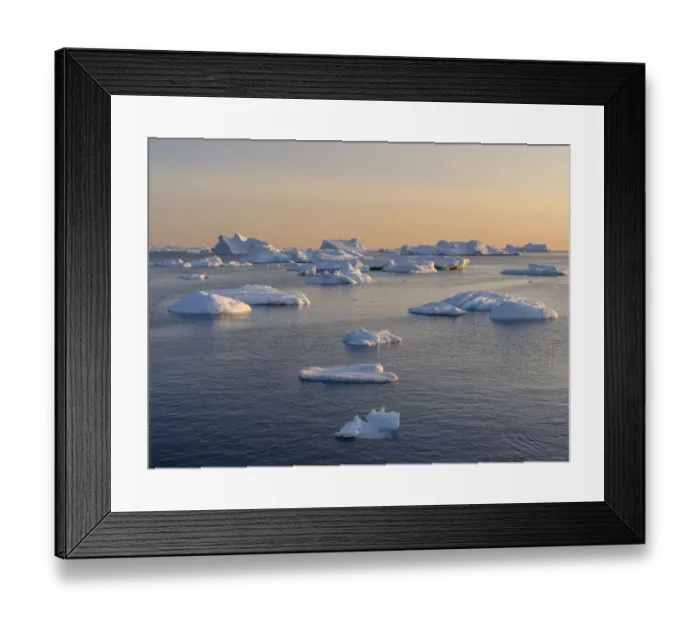 Framed Print : Icebergs in the Disko Bay. Inuit village Oqaatsut (once called Rodebay) located in Greenland Framed Print : Icebergs in the Disko Bay. Inuit village Oqaatsut (once called Rodebay) located in Greenland