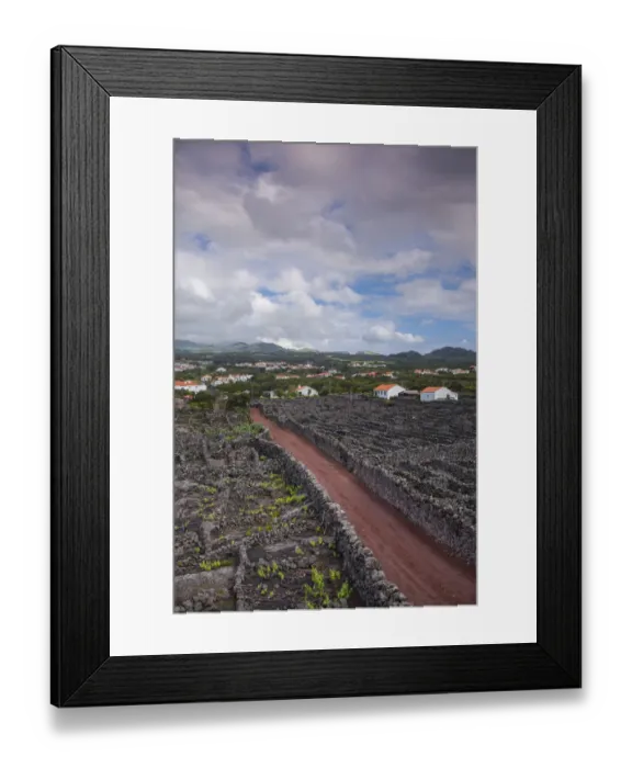 Framed Print : Portugal, Azores, Pico Island, Criacao Velha Framed Print : Portugal, Azores, Pico Island, Criacao Velha