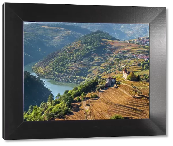 Portugal, Douro Valley. Vineyards and small community of the Douro Valley in autumn