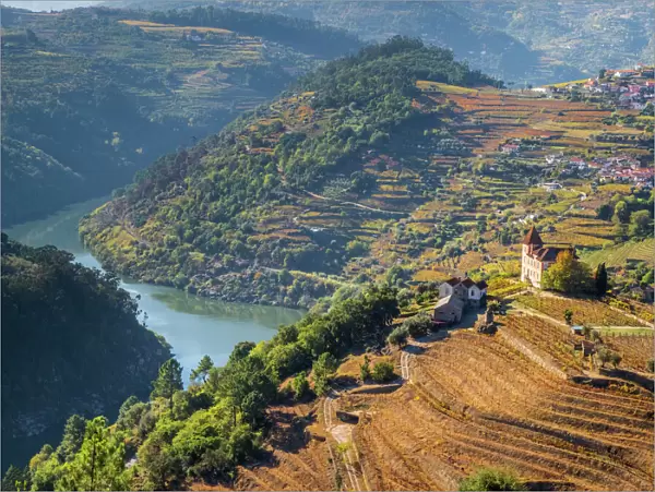 Portugal, Douro Valley. Vineyards and small community of the Douro Valley in autumn