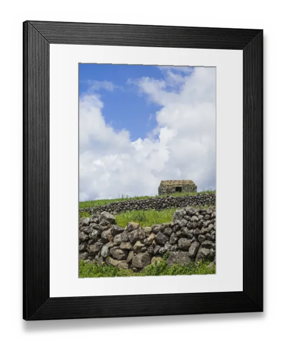 Framed Print : Portugal, Azores, Terceira Island, Serra do Cume. Stone wall Framed Print : Portugal, Azores, Terceira Island, Serra do Cume. Stone wall