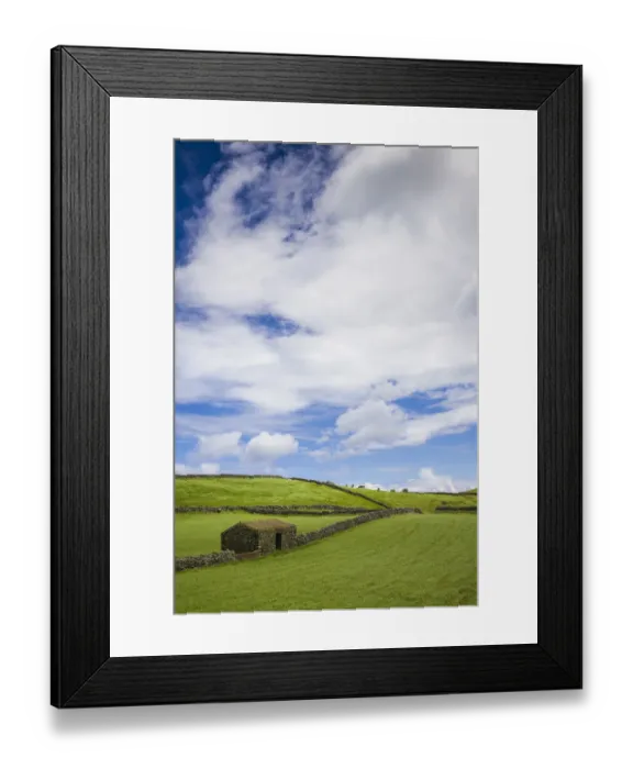 Framed Print : Portugal, Azores, Terceira Island, Serra do Cume fields in springtime