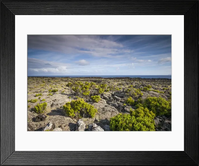 Framed Print : Portugal, Azores, Pico Island, Arcos. Volcanic landscape on Northern Pico Island Framed Print : Portugal, Azores, Pico Island, Arcos. Volcanic landscape on Northern Pico Island