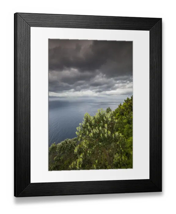 Framed Print : Portugal, Azores, Pico Island, Terra Alta Framed Print : Portugal, Azores, Pico Island, Terra Alta