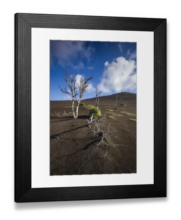 Framed Print : Portugal, Azores, Faial Island. Capelinhos volcanic eruption site and remaining trees Framed Print : Portugal, Azores, Faial Island. Capelinhos volcanic eruption site and remaining trees