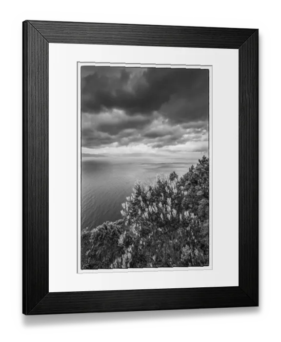 Framed Print : Portugal, Azores, Pico Island, Terra Alta Framed Print : Portugal, Azores, Pico Island, Terra Alta