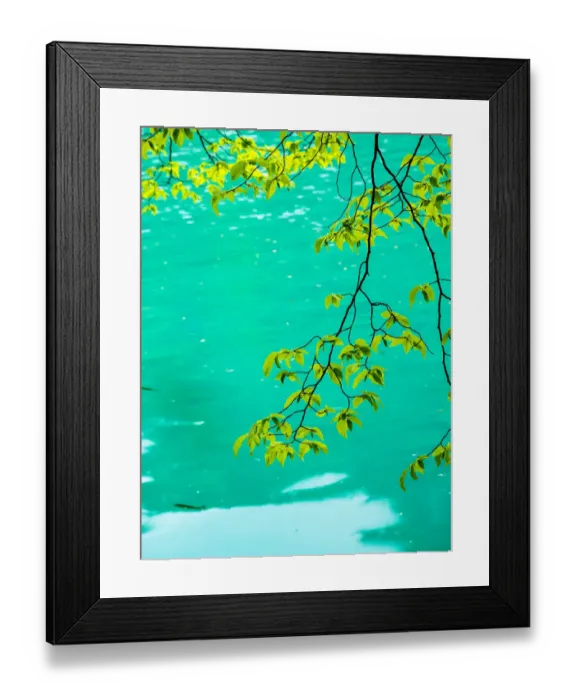 Framed Print : Spring trees and lake in the National Park Framed Print : Spring trees and lake in the National Park