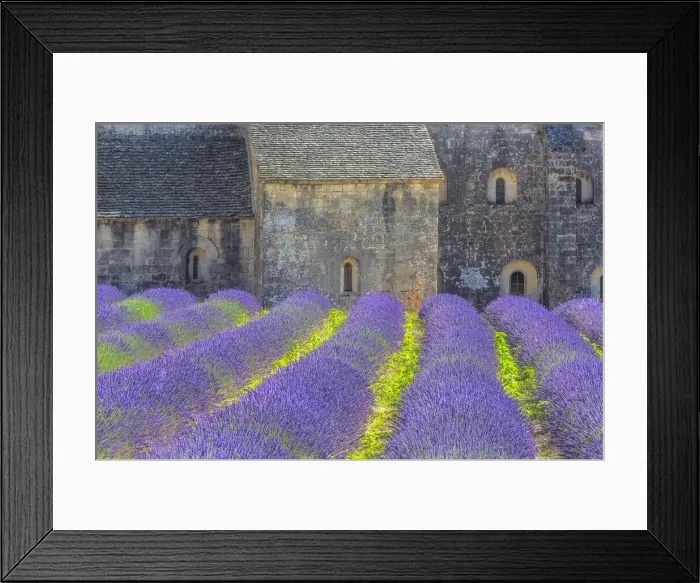 Framed Print : Europe, France, Provence. Lavender field and Senanque Abbey Framed Print : Europe, France, Provence. Lavender field and Senanque Abbey